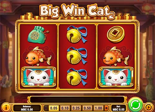 بازی اسلات Big Win Cat از ارائه دهنده بازی Play'n GO.